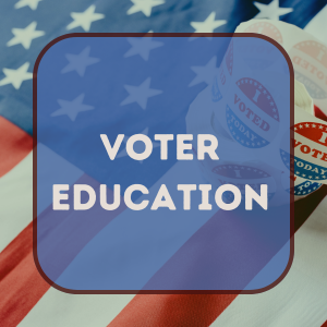 button link for voter education