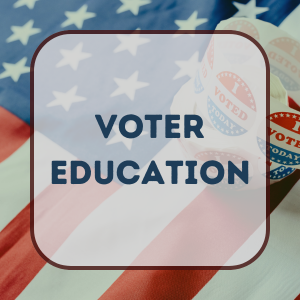 button link for voter education